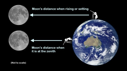 Distance from the observer to the Moon depending on when rising or setting (top) or when it is near the zenith (bottom). Credit: Ángel R. López-Sánchez. Moon image: Paco Bellido.