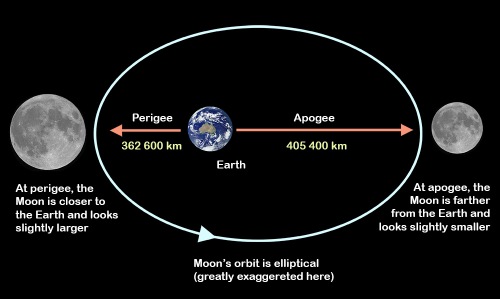 Diagram explaining the movement of the Moon around the Earth. Not in scale. Credit: Ángel R. López-Sánchez. Moon image: Paco Bellido.